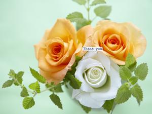 書道用品もインターネットで注文