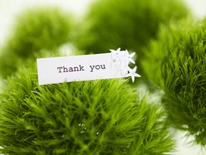 理想のチラシを作成するためには