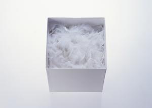 ミッキーのコスプレが出来るジェラトーニ